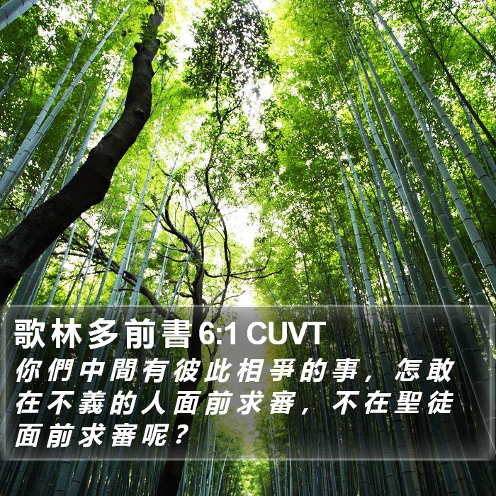 歌 林 多 前 書 6:1 CUVT Bible Study