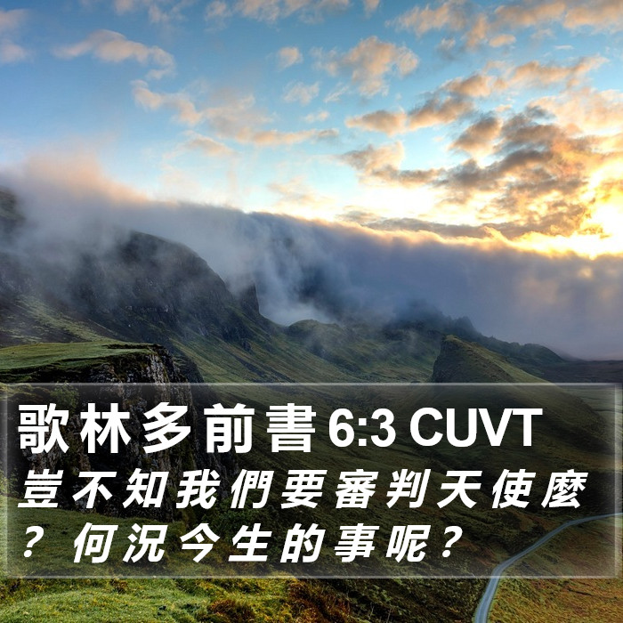 歌 林 多 前 書 6:3 CUVT Bible Study