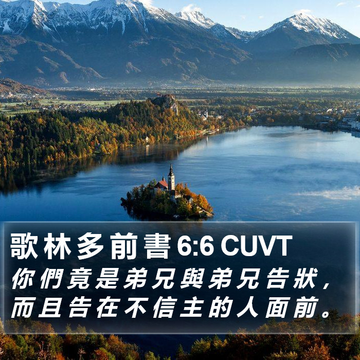 歌 林 多 前 書 6:6 CUVT Bible Study
