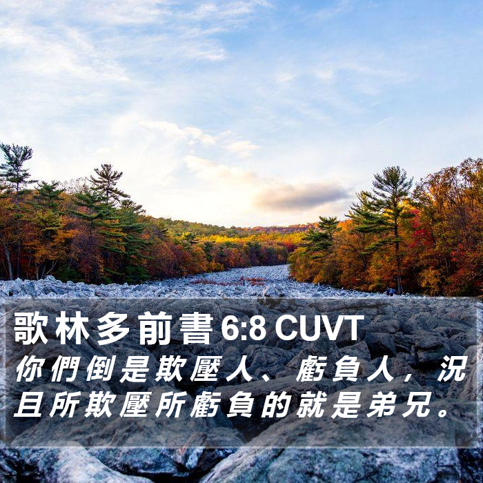 歌 林 多 前 書 6:8 CUVT Bible Study