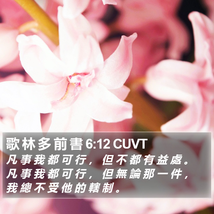 歌 林 多 前 書 6:12 CUVT Bible Study