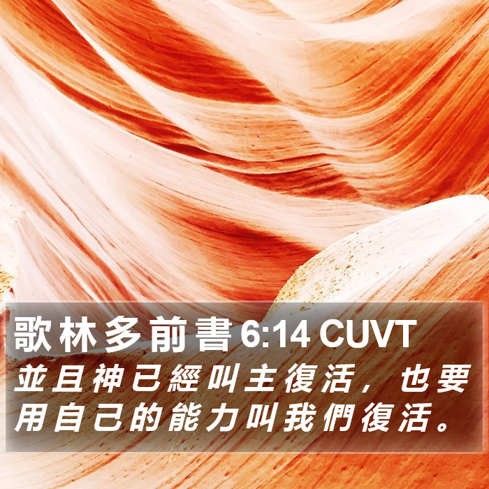 歌 林 多 前 書 6:14 CUVT Bible Study