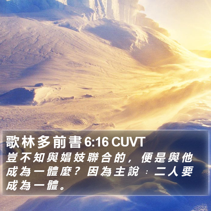 歌 林 多 前 書 6:16 CUVT Bible Study