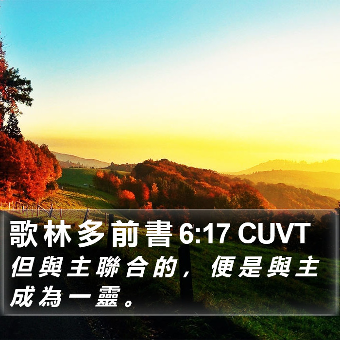 歌 林 多 前 書 6:17 CUVT Bible Study