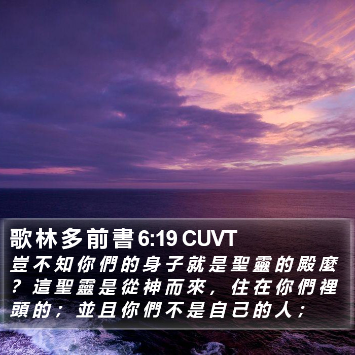 歌 林 多 前 書 6:19 CUVT Bible Study