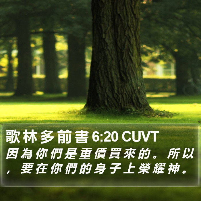 歌 林 多 前 書 6:20 CUVT Bible Study