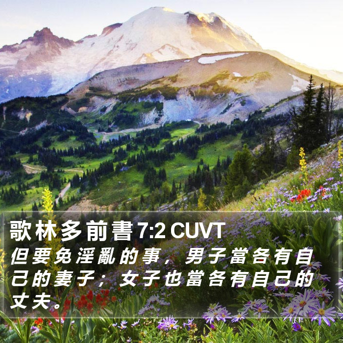 歌 林 多 前 書 7:2 CUVT Bible Study