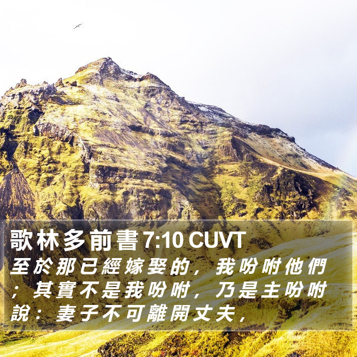 歌 林 多 前 書 7:10 CUVT Bible Study