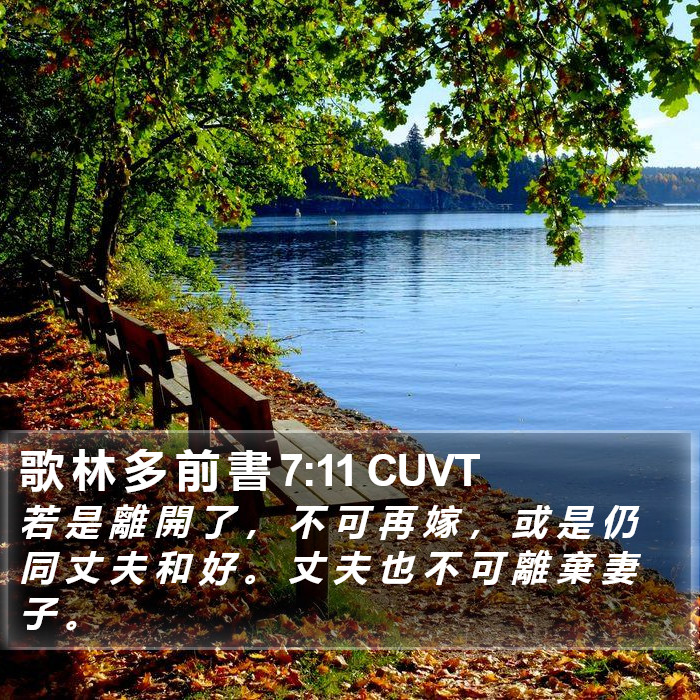 歌 林 多 前 書 7:11 CUVT Bible Study