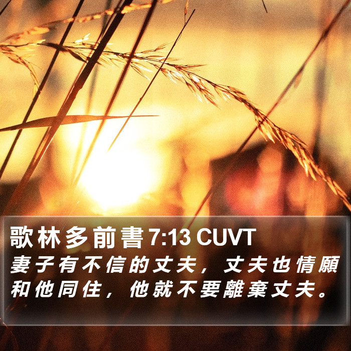 歌 林 多 前 書 7:13 CUVT Bible Study