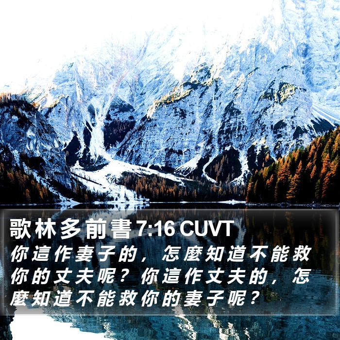 歌 林 多 前 書 7:16 CUVT Bible Study
