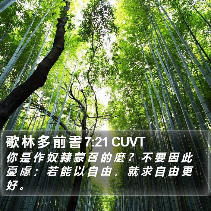 歌 林 多 前 書 7:21 CUVT Bible Study