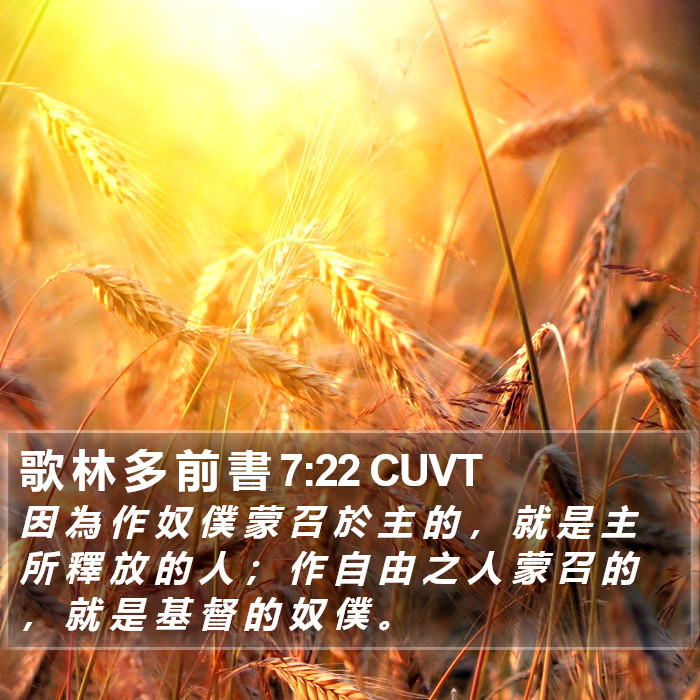 歌 林 多 前 書 7:22 CUVT Bible Study