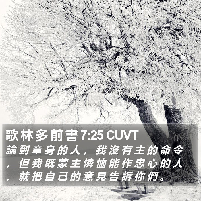 歌 林 多 前 書 7:25 CUVT Bible Study