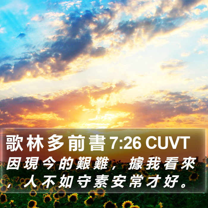 歌 林 多 前 書 7:26 CUVT Bible Study