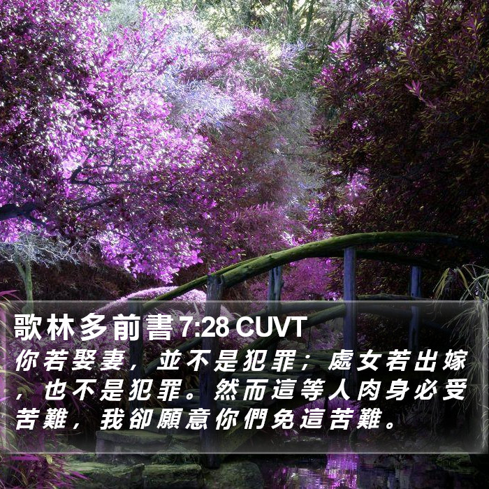 歌 林 多 前 書 7:28 CUVT Bible Study