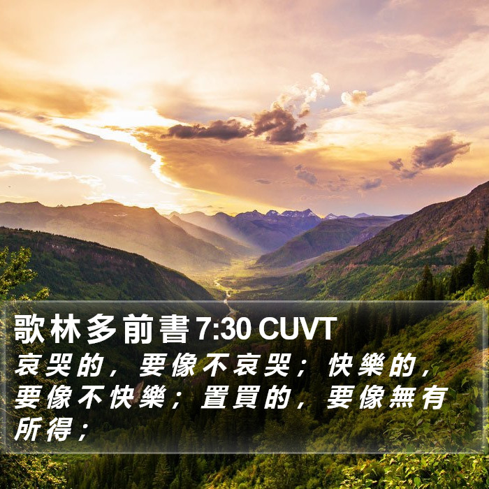 歌 林 多 前 書 7:30 CUVT Bible Study