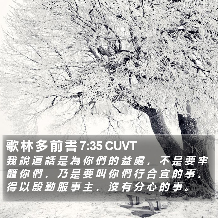 歌 林 多 前 書 7:35 CUVT Bible Study