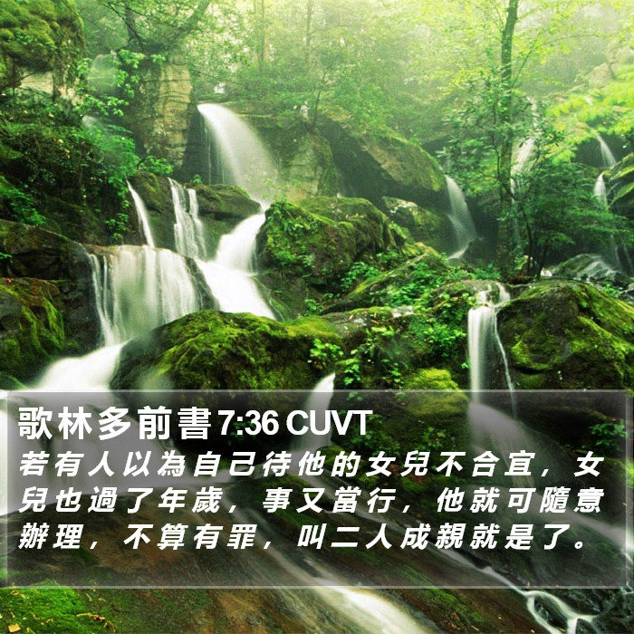 歌 林 多 前 書 7:36 CUVT Bible Study