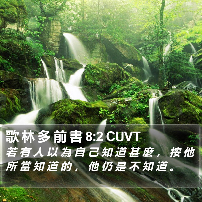 歌 林 多 前 書 8:2 CUVT Bible Study