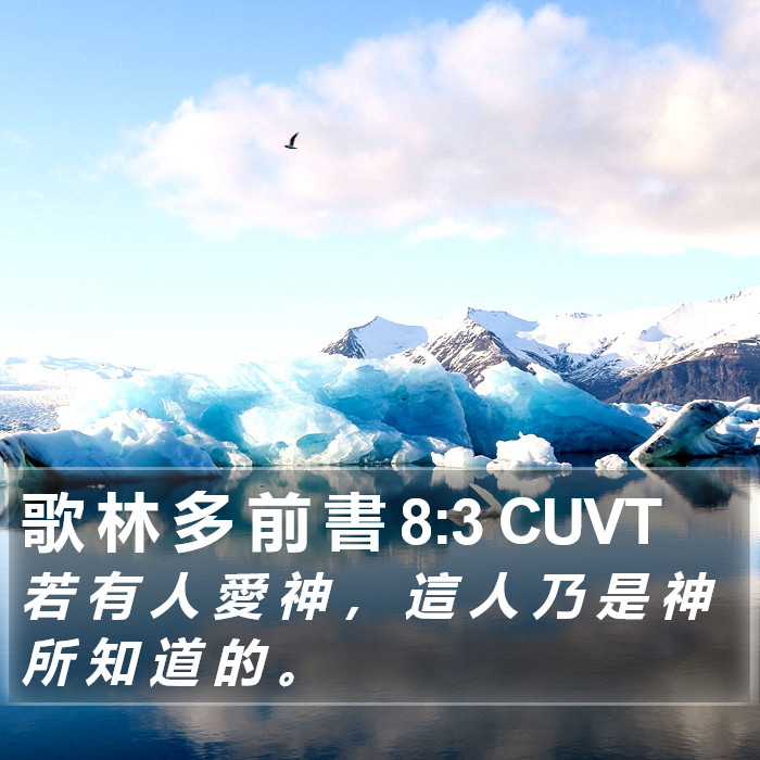 歌 林 多 前 書 8:3 CUVT Bible Study