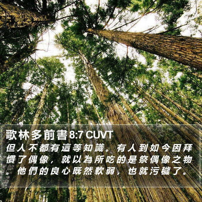 歌 林 多 前 書 8:7 CUVT Bible Study