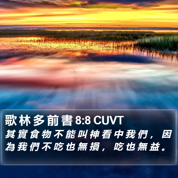 歌 林 多 前 書 8:8 CUVT Bible Study