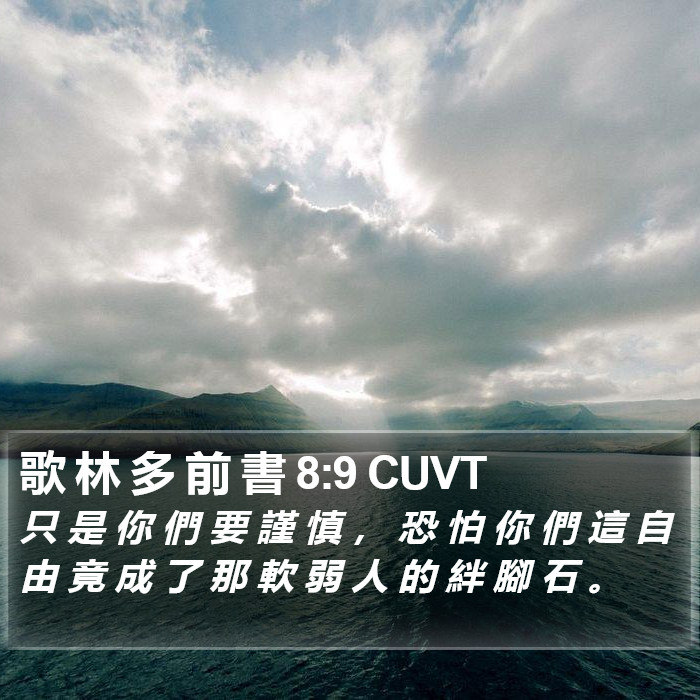 歌 林 多 前 書 8:9 CUVT Bible Study
