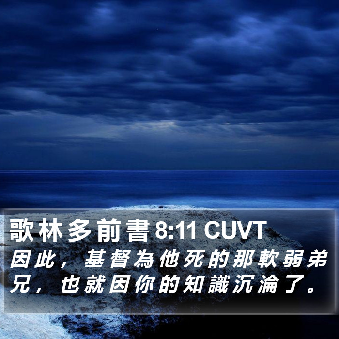 歌 林 多 前 書 8:11 CUVT Bible Study