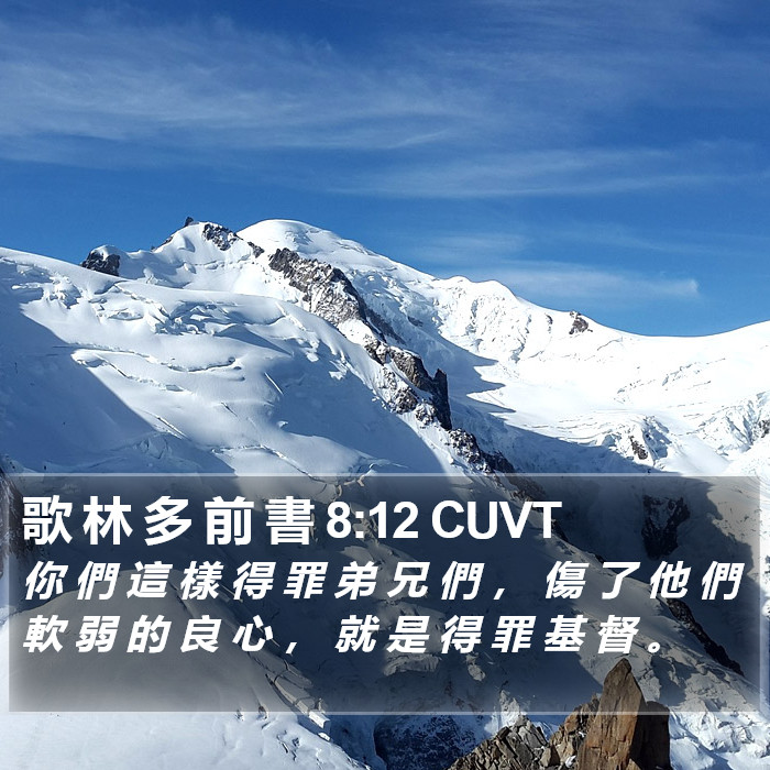 歌 林 多 前 書 8:12 CUVT Bible Study