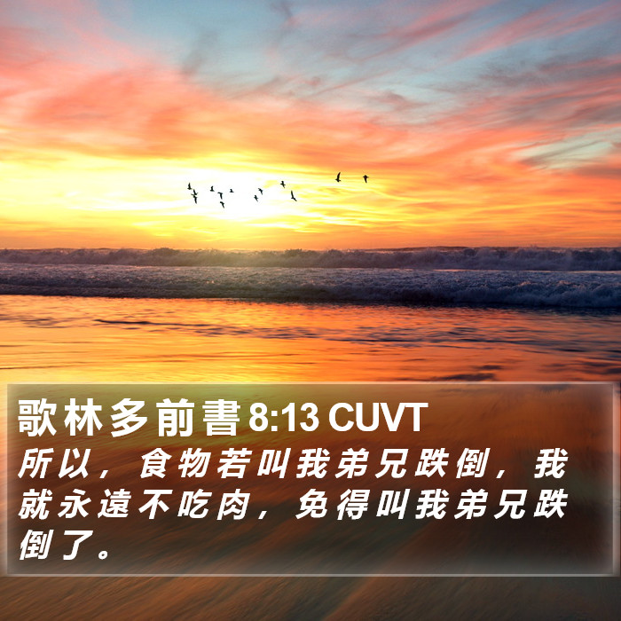歌 林 多 前 書 8:13 CUVT Bible Study
