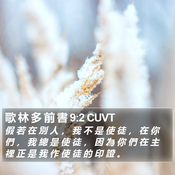 歌 林 多 前 書 9:2 CUVT Bible Study
