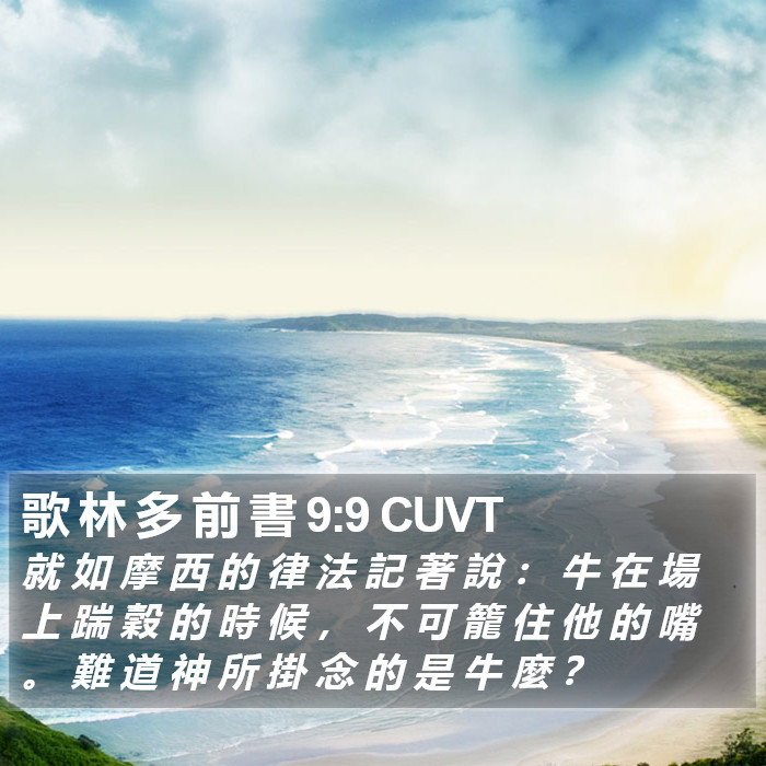 歌 林 多 前 書 9:9 CUVT Bible Study