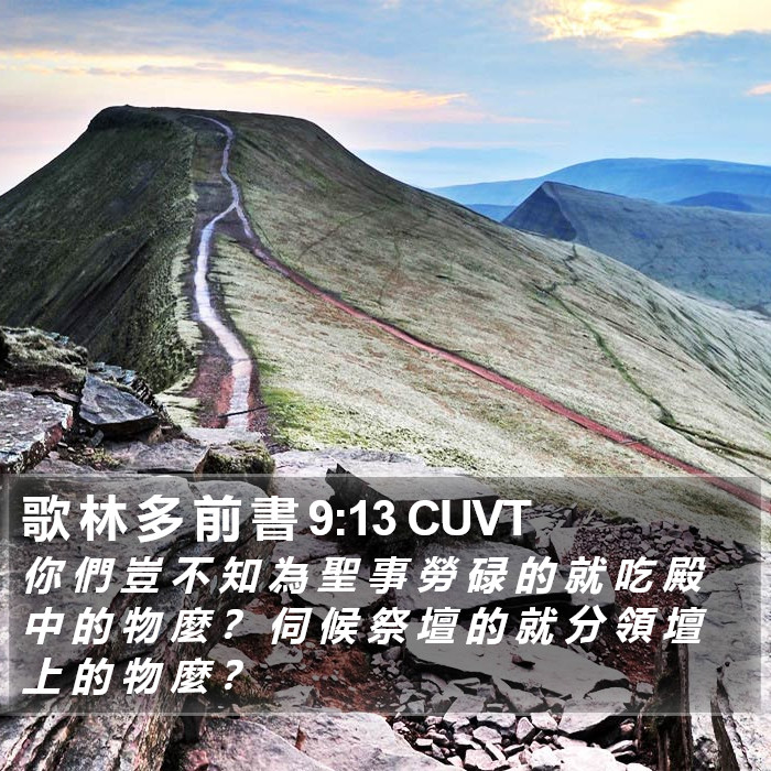 歌 林 多 前 書 9:13 CUVT Bible Study