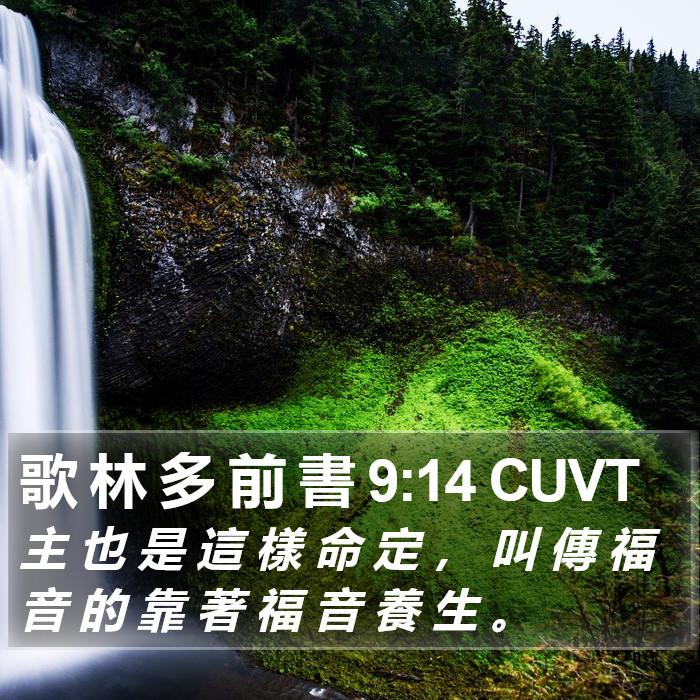 歌 林 多 前 書 9:14 CUVT Bible Study