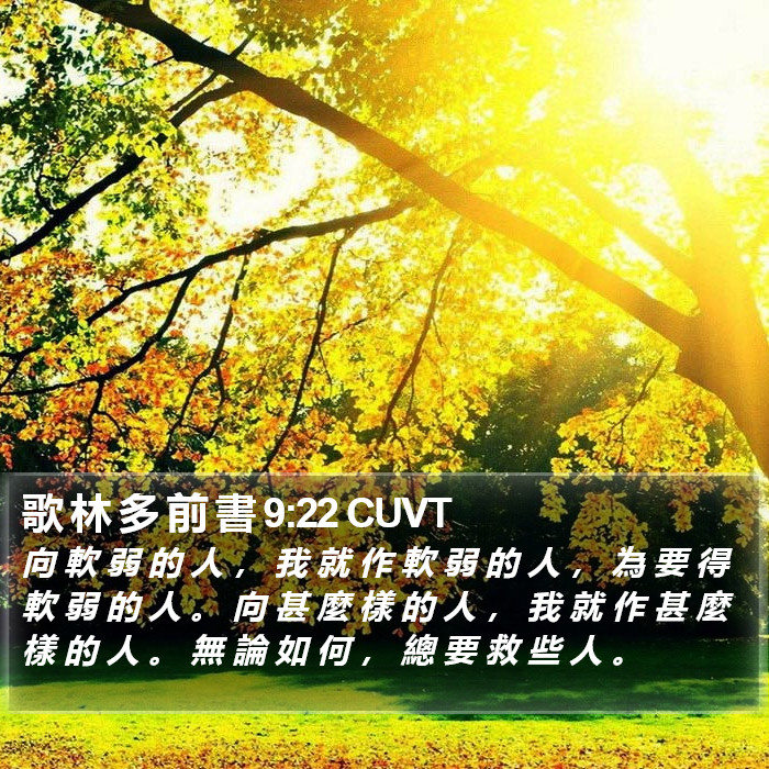 歌 林 多 前 書 9:22 CUVT Bible Study