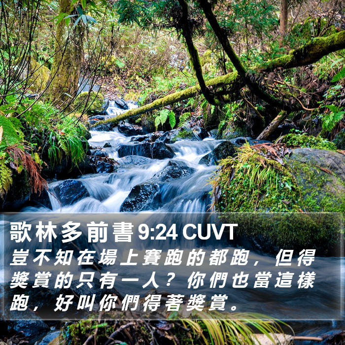 歌 林 多 前 書 9:24 CUVT Bible Study