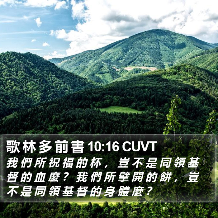歌 林 多 前 書 10:16 CUVT Bible Study