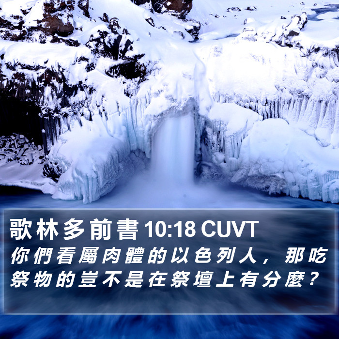 歌 林 多 前 書 10:18 CUVT Bible Study