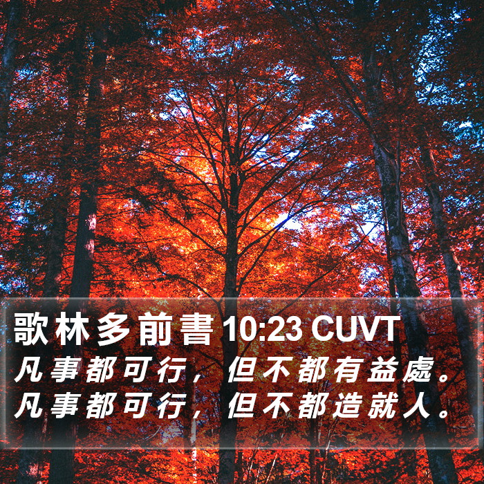 歌 林 多 前 書 10:23 CUVT Bible Study