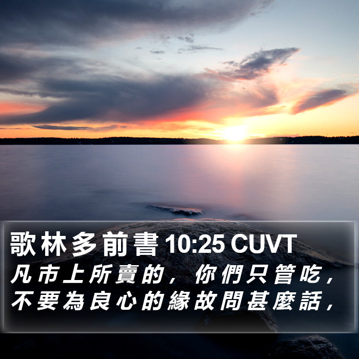 歌 林 多 前 書 10:25 CUVT Bible Study