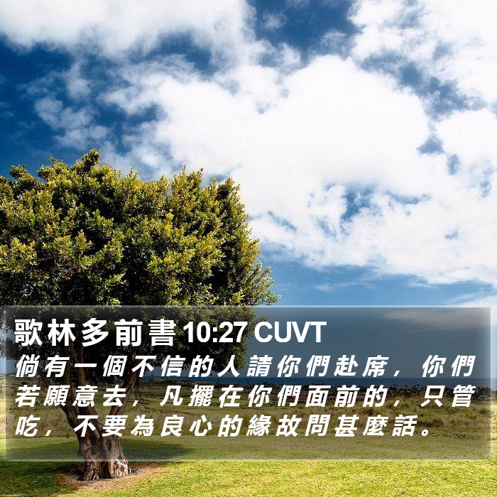歌 林 多 前 書 10:27 CUVT Bible Study