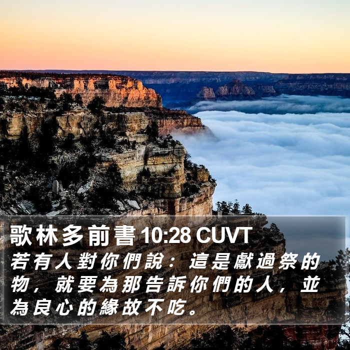 歌 林 多 前 書 10:28 CUVT Bible Study