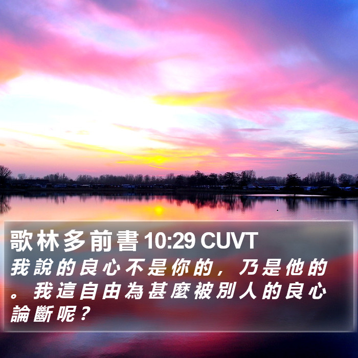 歌 林 多 前 書 10:29 CUVT Bible Study