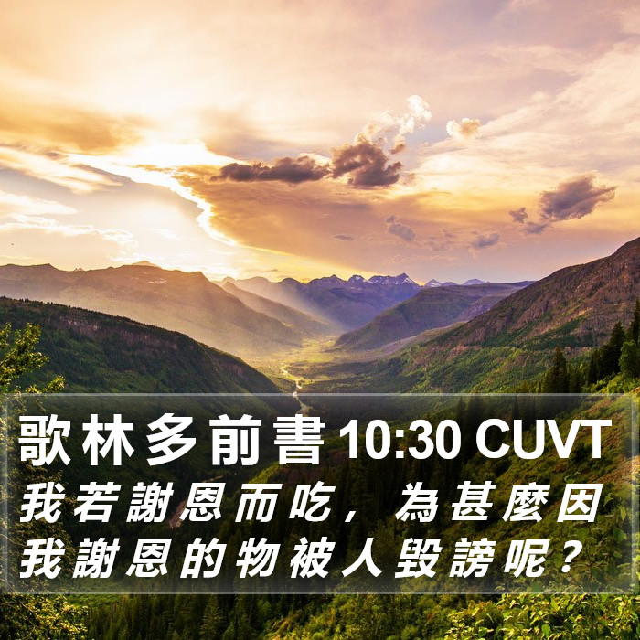 歌 林 多 前 書 10:30 CUVT Bible Study