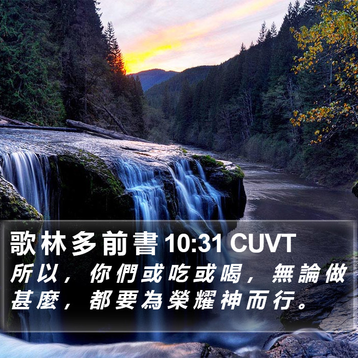 歌 林 多 前 書 10:31 CUVT Bible Study