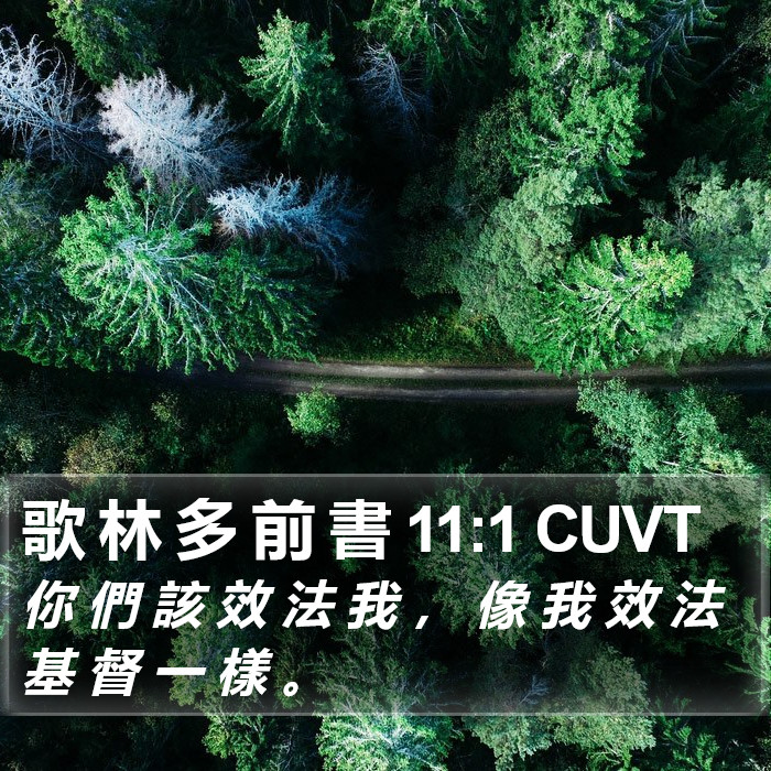 歌 林 多 前 書 11:1 CUVT Bible Study