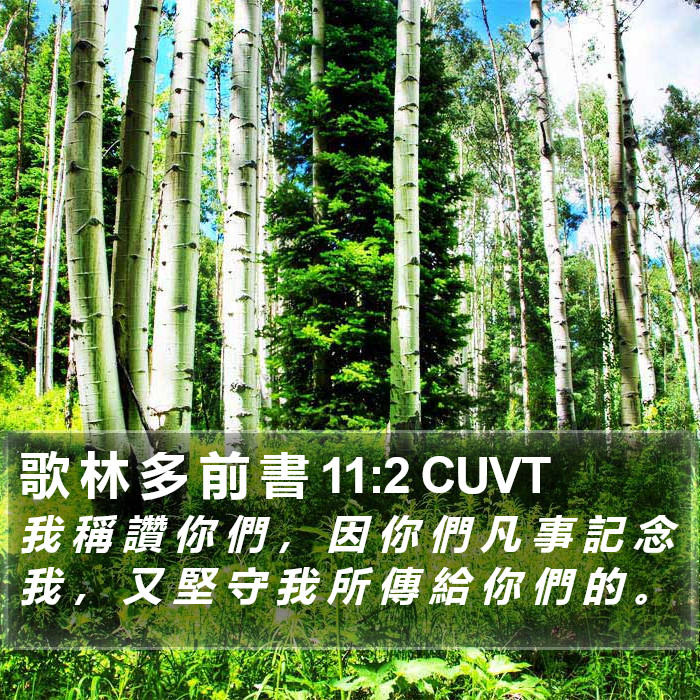 歌 林 多 前 書 11:2 CUVT Bible Study
