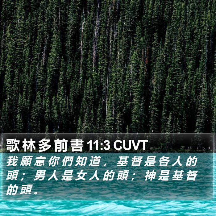 歌 林 多 前 書 11:3 CUVT Bible Study