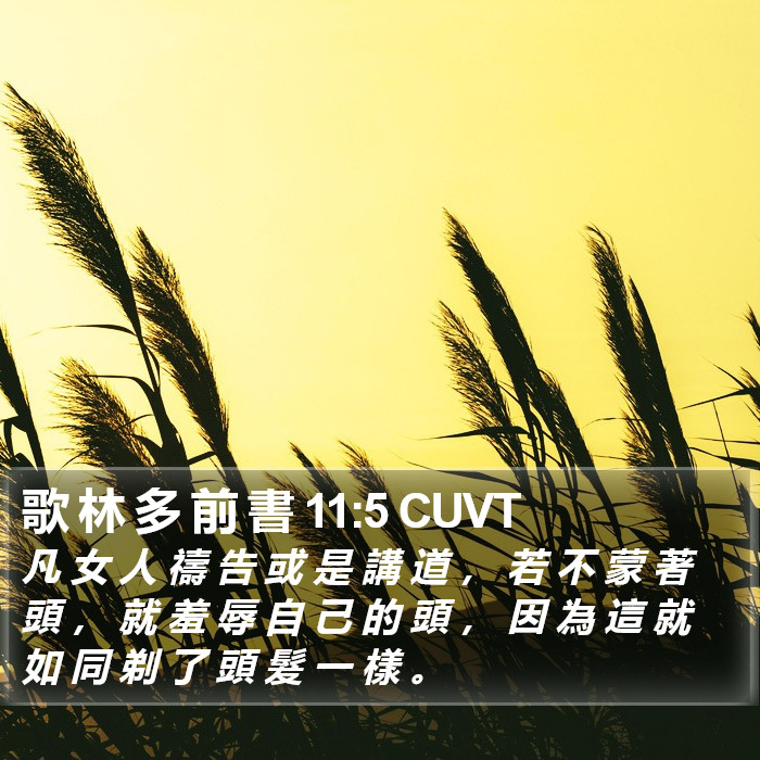 歌 林 多 前 書 11:5 CUVT Bible Study